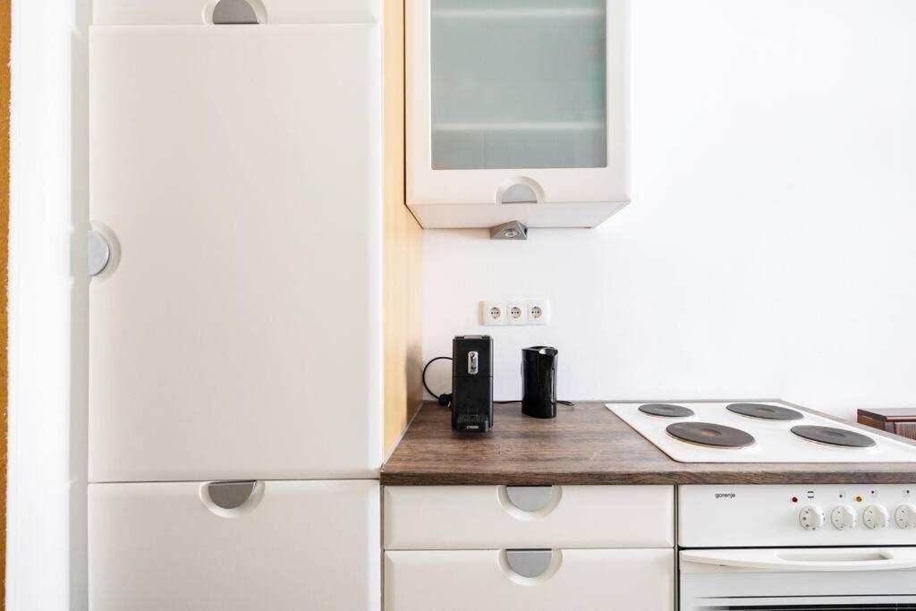 Charming Spacious Apartment Wiedeń Zewnętrze zdjęcie